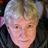 Peter Avery