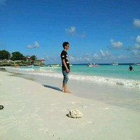Bobi Sandan