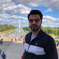 Syed Hussain Raza