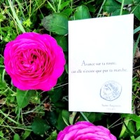 Delphine AOUSTIN-GILBERT