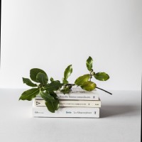 Book Marketing