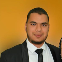 Lefi Salim