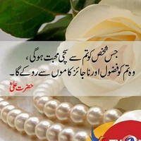 Muhamad Hafeez