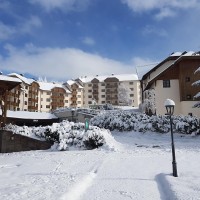 DD Immobilien DD Immobilien