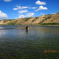 Flynlow Fishn