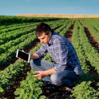 Martin Eduardo Valbuena