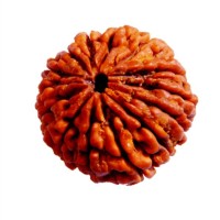 Dr.V.Vadivel Vellaichamy