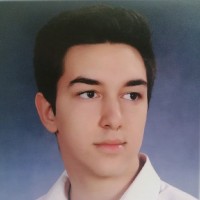 Srdjan Topic