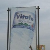 Marty Vitale