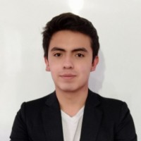 Luis Josmar Suarez Loza