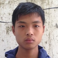 李卫卫