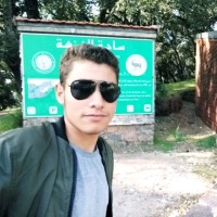 Hamza Elmardi