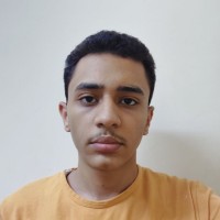Mahmoud Ahmed Elsakka