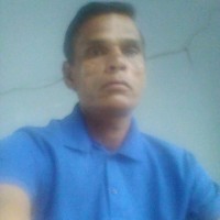 Harishsingh Rajpurohit