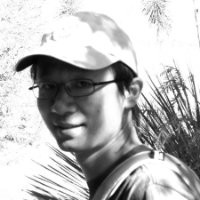 Yihong Ding