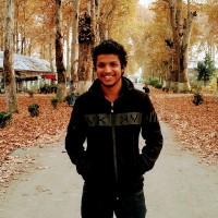 🙅 Abhimanyu Ray