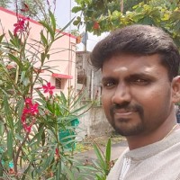 VIGNESWARAN V