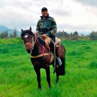 Camilo Andrés Valdés Araya