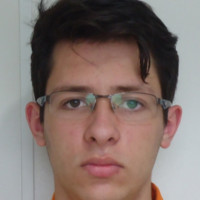 Luis Fernando de Vincenzi Cezar Junior