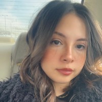 Dina Amr