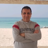 Ahmed Aboul Fetouh Abdel Majeed