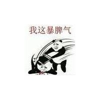 蔡可顺