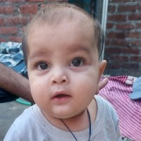 Arif Saifi