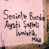 cemil bağcı