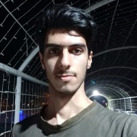 Amir H Karimi