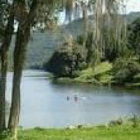 Gabriel Francisco Da Silva