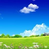 车传亮