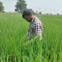 Kishan Suman
