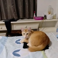 许丽艳