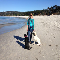 Diane Treleaven