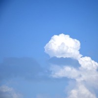 张大伟