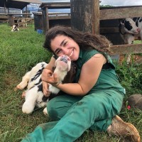 Ana Caroline Silvério Vitor