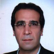 Amir Amini