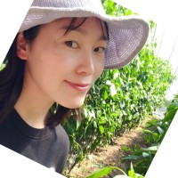 Lin Li