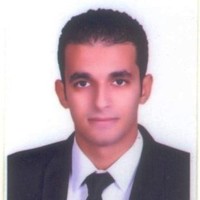 mohamed salah el-din