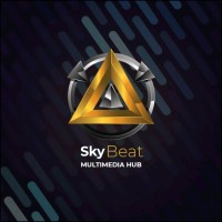 Sky Beat Multimedia Hub