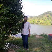Angel S