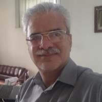 M Reza Nadjafabadi Farahani