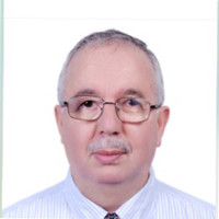 Youcef Grebici