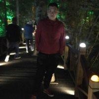 李泽霖