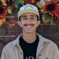 Vincent Lara