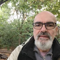 Joel Robin