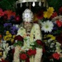Vaishu Reddy