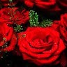 razan refai