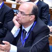 Ezzeldin Yazeed Sayed-Ahmed