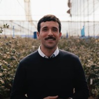 Cristian Morales Cisa